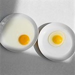 old-eggs-02-20563